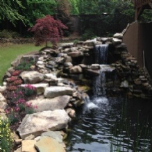 Image for Elite Hardscape & Water Gardens with ID of: 871944