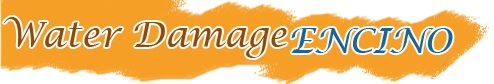 Image for Water Damage Encino with ID of: 872919