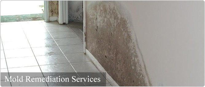 Image for Water Damage Encino with ID of: 872923