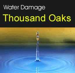 Image for Water Damage Thousand Oaks with ID of: 873088