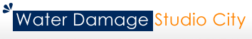Image for Water Damage Studio City with ID of: 873446