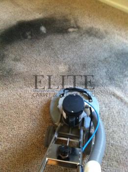 Image for Elite Carpet & Tile Cleaning with ID of: 873485