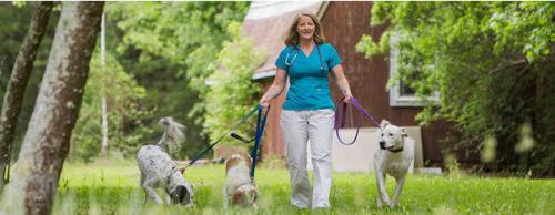 Image for Dr. Ruth Roberts, Inc. with ID of: 873513