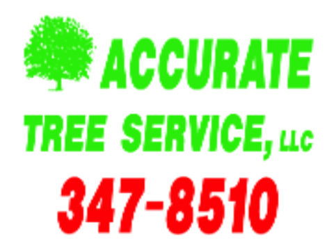 Image for Accurate Tree Service & Stump Grinding with ID of: 873622