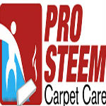 Image for Prosteem Carpet Care with ID of: 874694