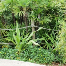 Image for TLC Property Maintenance with ID of: 875125
