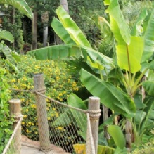 Image for TLC Property Maintenance with ID of: 875126