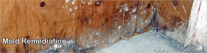 Image for Water Damage Long Beach with ID of: 875206