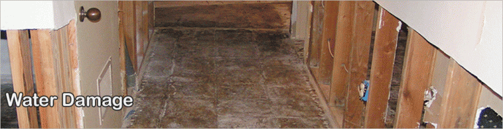 Image for Water Damage Long Beach with ID of: 875209