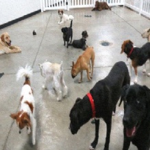 Image for Tabby & Jack's with ID of: 876103