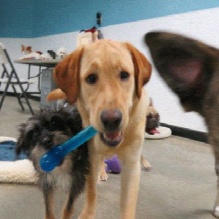 Image for Tabby & Jack's with ID of: 876104