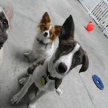 Image for Tabby & Jack's with ID of: 876109