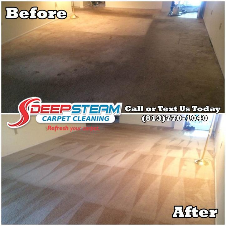 Image for Deep Steam Carpet Cleaning with ID of: 876911