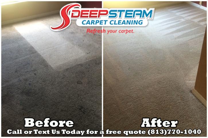 Image for Deep Steam Carpet Cleaning with ID of: 876913