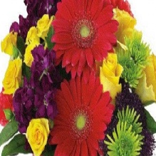Image for Haws & Co. with ID of: 877459