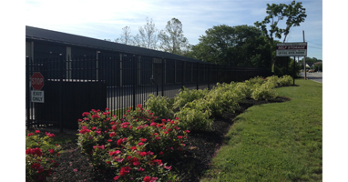 Image for Chester Heights Self Storage with ID of: 878252