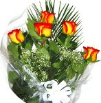 Image for ECONNECT USA LLC with ID of: 879242