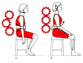 Image for Shepard Pain and Performance Care with ID of: 879383