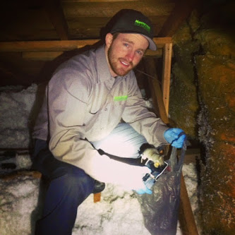 Image for MasterTech Pest Solutions with ID of: 881299