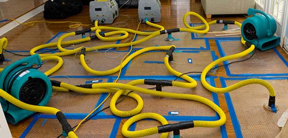 Image for Orlando Water Damage Experts with ID of: 881392