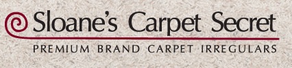 Image for Sloane's Carpet Secret with ID of: 883196