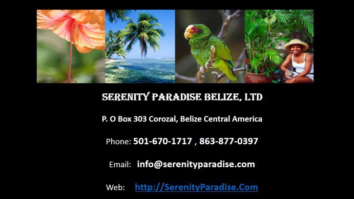 Image for Why Belize For Ocean Front Property Investment with ID of: 883398