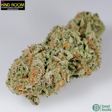 Image for The Kind Room with ID of: 883879