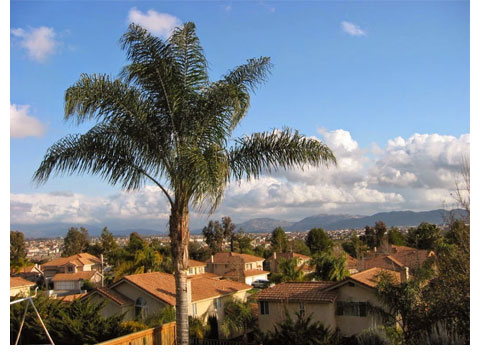 Image for Hector Del Gaiso Realtor with ID of: 884246