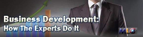 Image for Business Development: How The Experts Do It with ID of: 884786