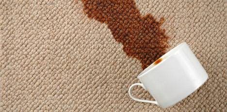Image for Avanti Carpet Cleaning with ID of: 886796