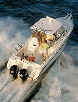 Image for Rockin’ Robin Fishing Charters with ID of: 886874