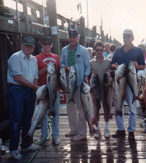 Image for Rockin’ Robin Fishing Charters with ID of: 886877