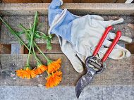 Image for Grow and Make with ID of: 888451