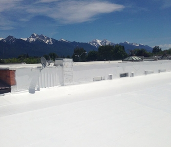 Image for A-1 Roofing Systems with ID of: 888796