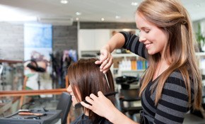 Image for Viva Wellness Medical Group with ID of: 888868