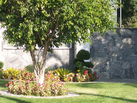 Image for Landscape Design Los Angeles with ID of: 889787
