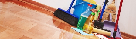 Image for Planet Maids Cleaning Service with ID of: 890971