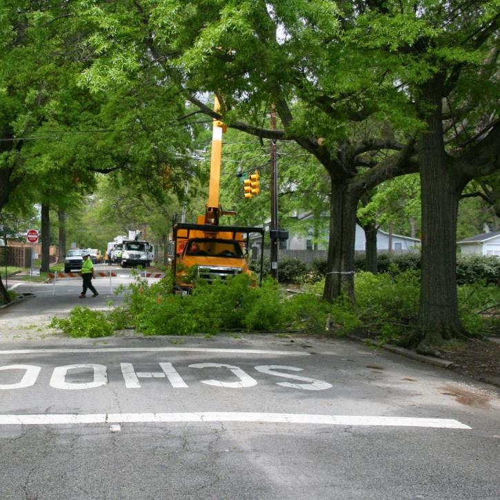 Image for Gray's Tree Service with ID of: 891269