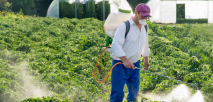 Image for David's Pest Control with ID of: 893108