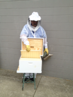 Image for David's Pest Control with ID of: 893110