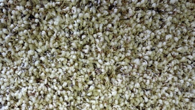 Image for Bleyl Carpets & Blinds with ID of: 895779