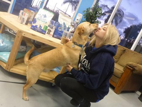Image for 24 Hour Dog Daycare with ID of: 897691