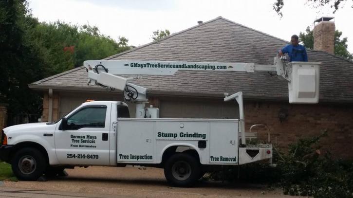 Image for G Maya Tree Service & Landscaping with ID of: 897736