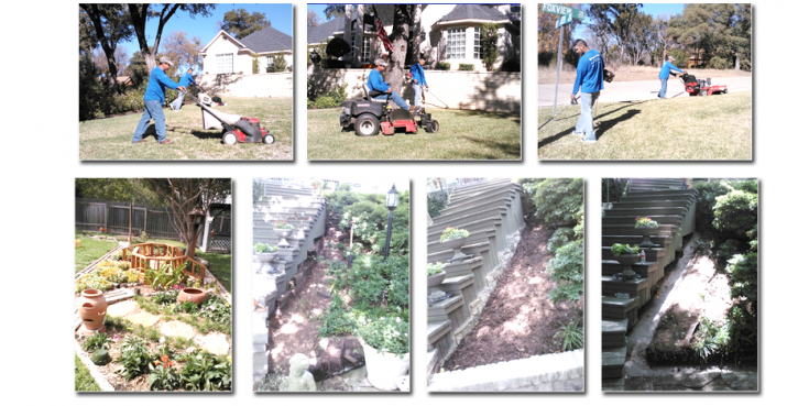 Image for G Maya Tree Service & Landscaping with ID of: 897744