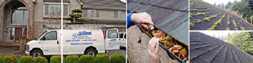 Image for St Mary's Window Cleaning Services with ID of: 897952