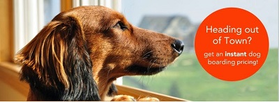 Image for Safe Journey Dog Boarding with ID of: 899060