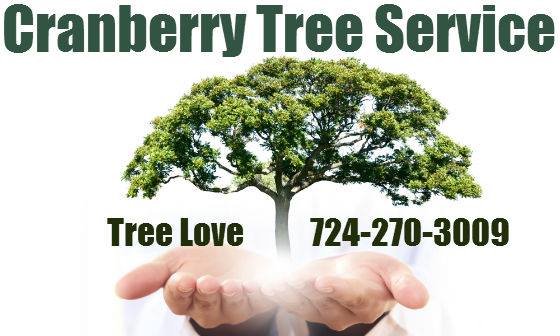 Image for Cranberry Tree Care Service with ID of: 899102