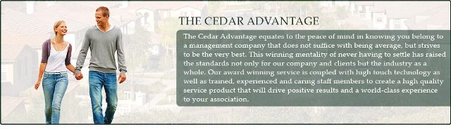 Image for Cedar Management Group with ID of: 899184