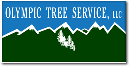 Image for Olympic Tree Service LLC with ID of: 900223