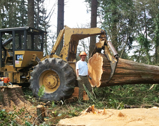 Image for Olympic Tree Service LLC with ID of: 900225